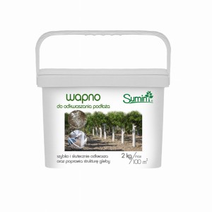 WAPNO DO ODKWASZANIA PODŁOŻA