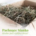 bombki-sianko.jpg